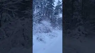 18 січня 2026 р.