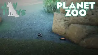 Building the Observatory | Planet Zoo