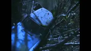 Das Video zum Cache- die peitschende Weide (english)