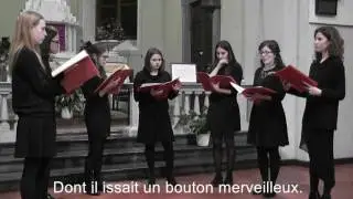 Ensemble Parva Lux - No&euml;l Nouvelet