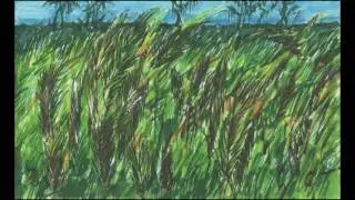 Jerry Garcia Collection - 