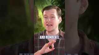 How to Play a SORCERER in D&D!