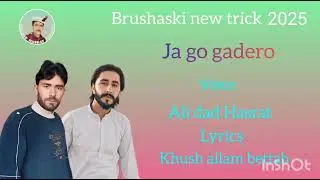 BRUSHASKI NEW TRICK 2025  
