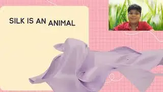 Vegetable fibres examples and sources
