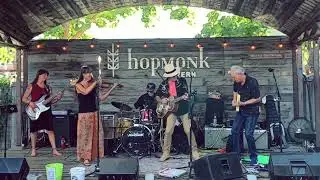 Back pOrchEstra - Heart of Gold at  Peacetown Hopmonk