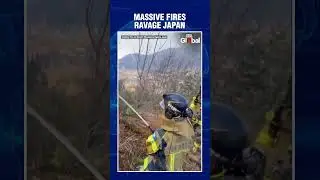Massive Fires Devastate Japan&rsquo;s Ofunato | Firefighters Battle Blazes Nonstop | #shorts