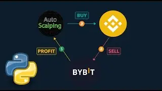 Arbitrage Bot for Binance | ByBit Python PART 1