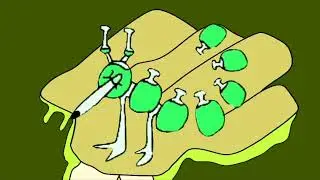 Flasque - Poison Islet (BBB version?)
