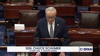 Sen. Schumer (D-NY) on Don Lemon Arrest