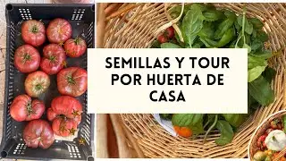 Semillas y tour por huerta de casa