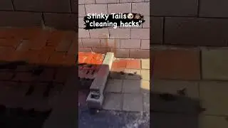 Dog poop cleaning hack. 🐶💩🐶👌￼