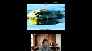 Amazing Animal Growth Journey #animals #funny #cute