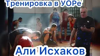 Тренировка от одного из лучших профессионалов современности! Али Исхаков УОР, Хасавюрт 04.11.2024 г.