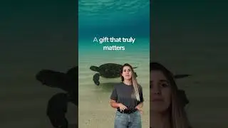 💡 This Valentine&rsquo;s Day, give a gift with a positive impact. 🎁💚  #plasticfree #haircare #crueltyfree