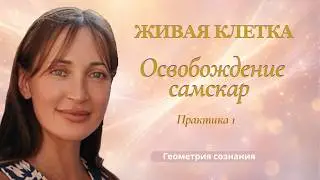 ПРАКТИКА 1: Освобождение от самскар через живую клетку  | АТМА ЖИВА