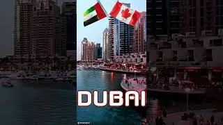 Canadian Company to help you setup business in Dubai | Canada to Dubai | Company Formation Hub