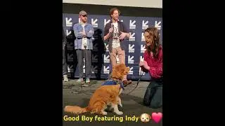 Indy showing off his skills as the new #superdog #movie star @SXSW  #GoodBoy #sxsw