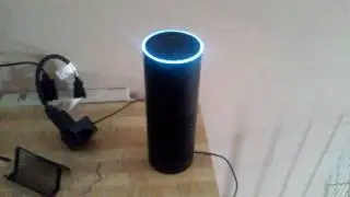 Alexa self destruct