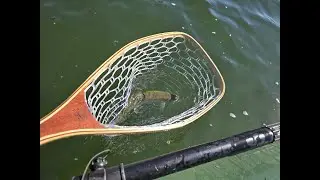 Series Premiere - Trout Hunting Fawn Lake - Chapter 1