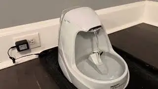 PetSafe Drinkwell Platinum Dog and Cat Water Fountain, Automatic Drinking Fountain for Pets Review