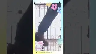 ♡🌸🌷🩷🛼🌈🪽✨playing kick roller{in 1hour by practicTvT}✨🪽🌈🛼🤍🌷🌸♡