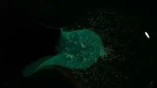 Lightstick chemical reaction