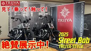 【TRIJYA ポップアップ ストア第1号店】2025年式ストリートボブコンプリートカスタム展示中！【縦動画】