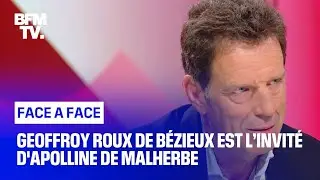 Face-à-Face : Geoffroy Roux de Bézieux