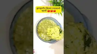 हिरव्या टोमॅटोची चटणी | Tomato Chutney - Green Tomato Chutney Recipe