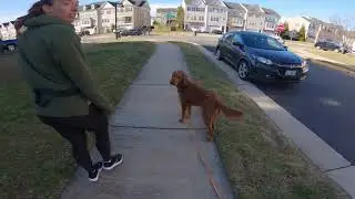 Ruby's Training Review with Mom