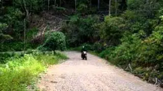 KZ1000 Cafe/adventure bike