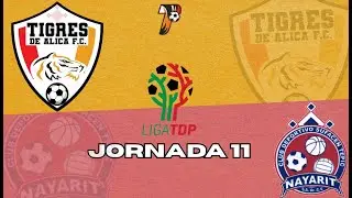 Jornada 11 Grupo 15 Liga TDP MX / Tigritos de &Aacute;lica vs Sufacen Tepic