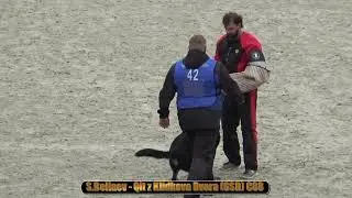 2021 IGP CACIT in Russia S Beliaev - Qit z Klidkova Dvora (GSD) C88