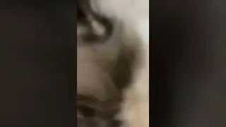 Ghost says hi