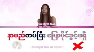 နာမည်တပ်ပြီး ပြောပိုင်ခွင့်မရှိ (a.k.a 