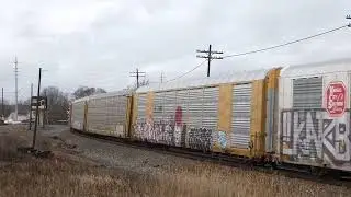 CP 234
