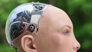 Sophia the Robot:  A Stream of Consciousness About Nature
