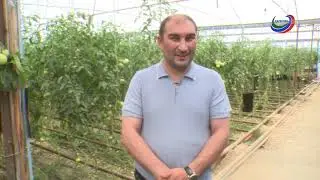 «Заманлар гете, халкъ гетмес»