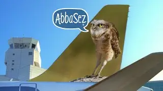 FRONTIER ANIMAL AUDITIONS: PART 2