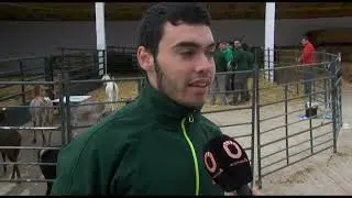 CENTRO AGROPECUARIO GALILEO GALILEI. UN PASEO DE APRENDIZAJE CON LOS FUTUROS GANADEROS