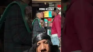 Pitbull vs Roach Faceoff #fighthubtv #shorts #boxing #pitbullcruz #faceoff #lamontroach