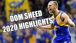 DOM SHEED 2020 HIGHLIGHTS