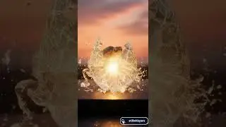 #02 Crystal Hatch ASMR #Stillwhispers #turtle #fyp