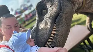 🦕 DINOSAUR SCARES&hellip; AND LOTS OF FAMILY FUN AT FESTIVALS 🦖