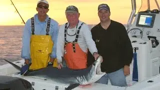 Shark Fishing - Montauk, NY (includes instruction)