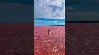 Pink Lake, Australia #europe #travel #bali #europetravel #nature #lovebali #india #australia