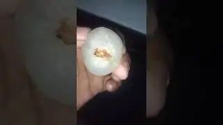 Litchi side effect