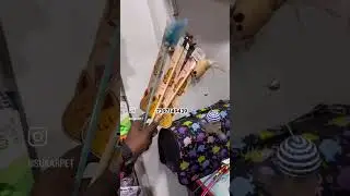 Cat teasing toys | pet toys in Chennai | Sukar pet supplies Omr