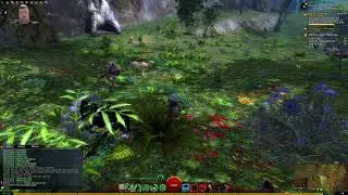Guild Wars 2 - Questing and Story missions (Necromancer)