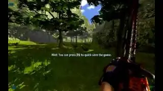 Low Distance Animation LOD